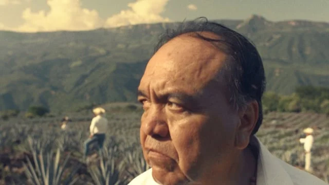 TRES AGAVES - "El Volcan"