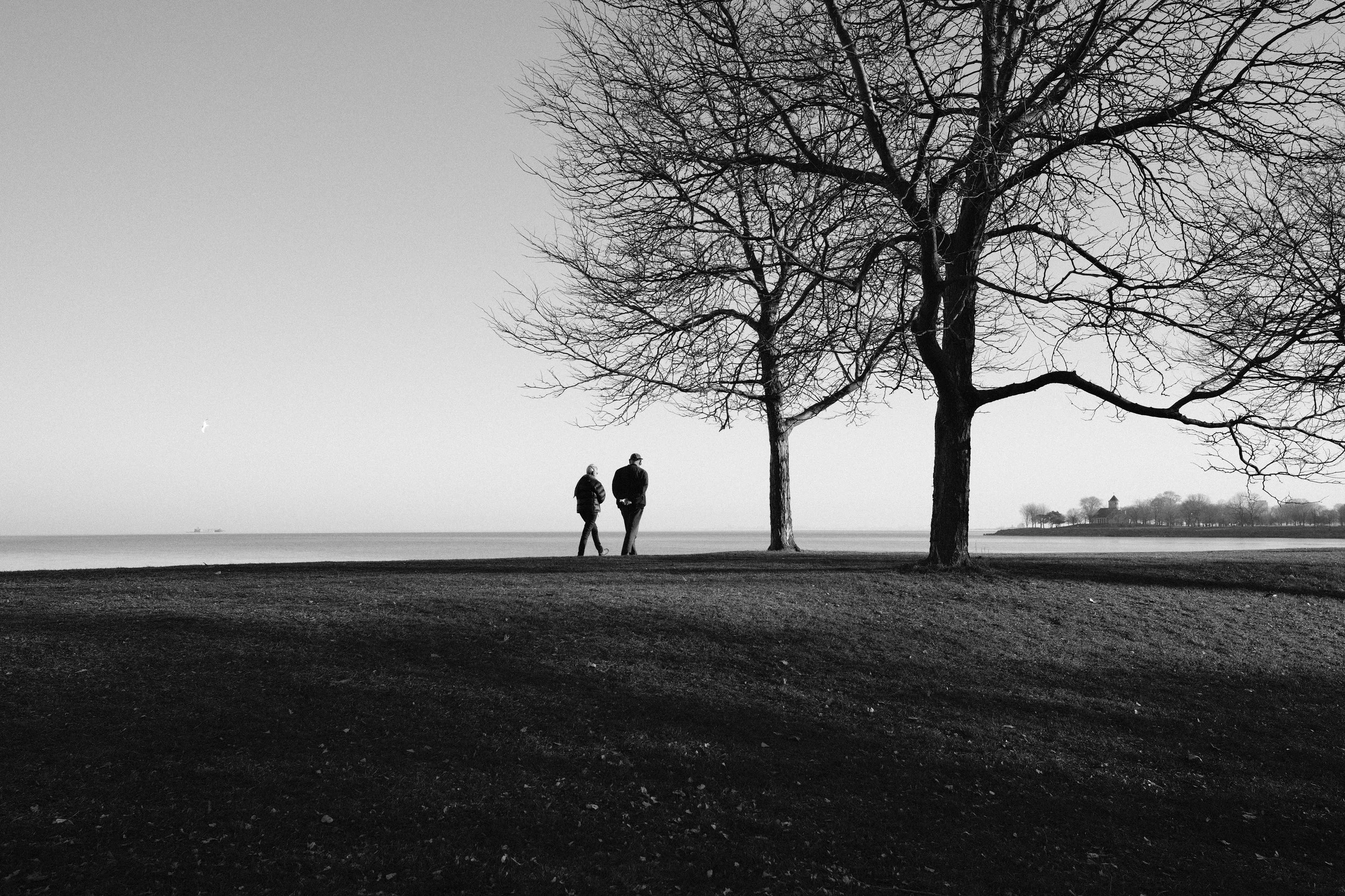 DSCF6794.JPG