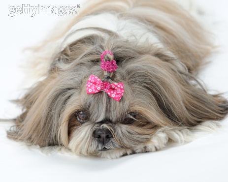 Photo by Glenn Nagel/iStock / Getty Images