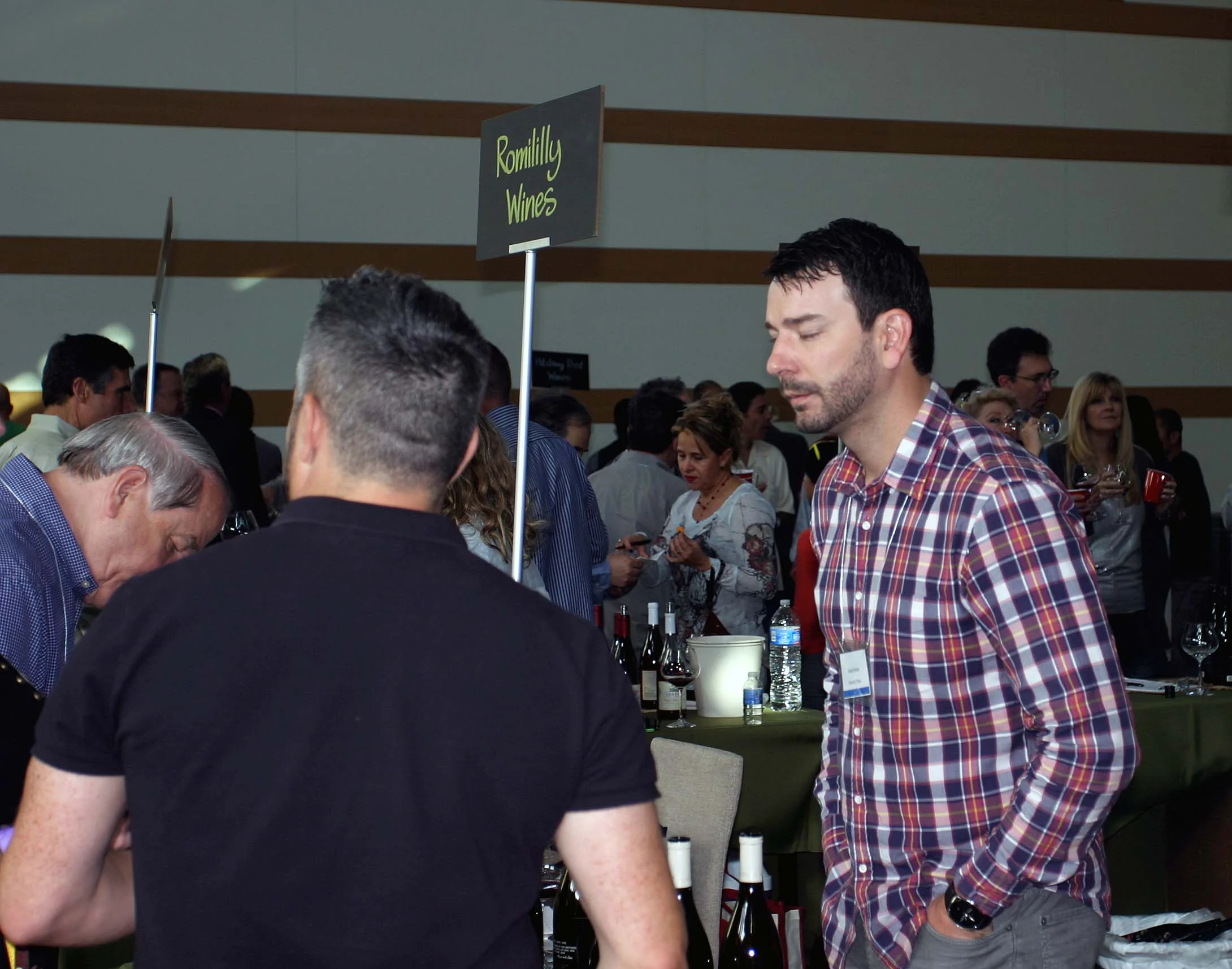 Romililly Vineyards.jpg