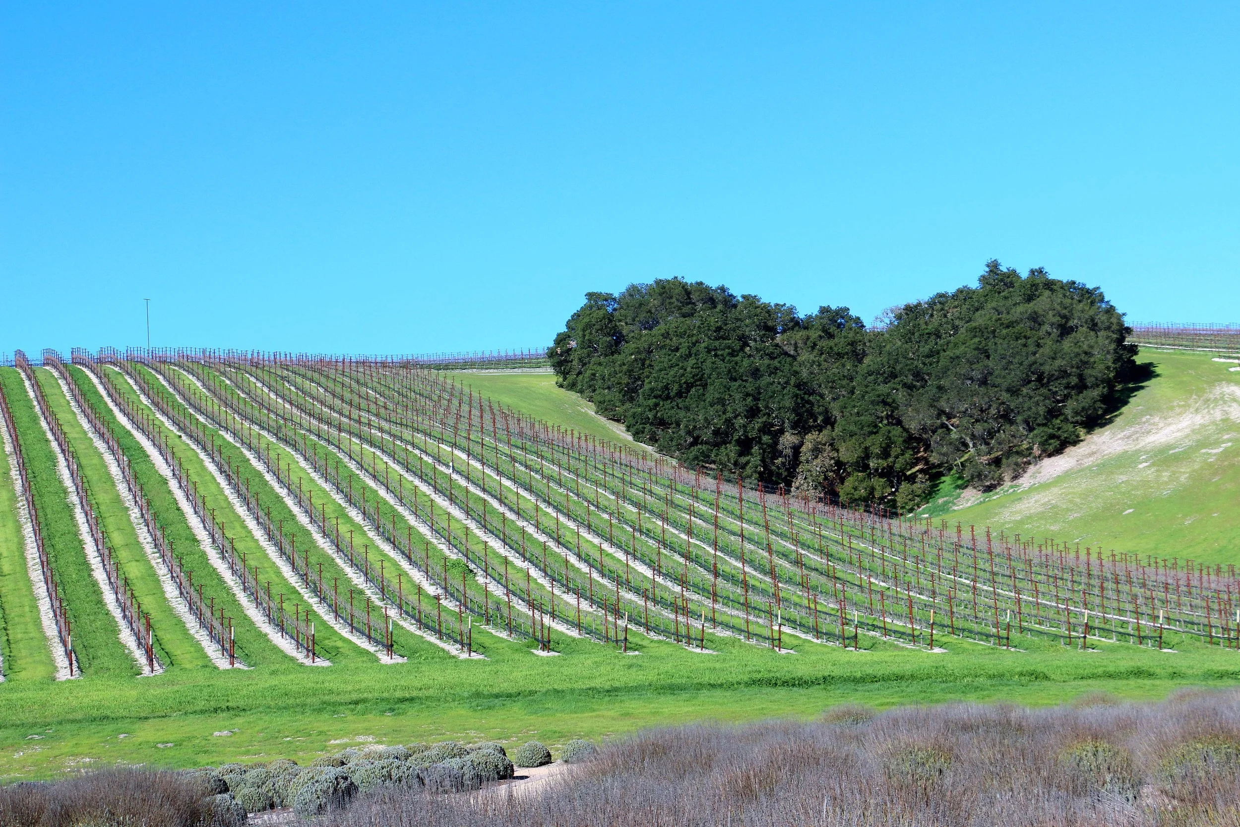 Niner Winery