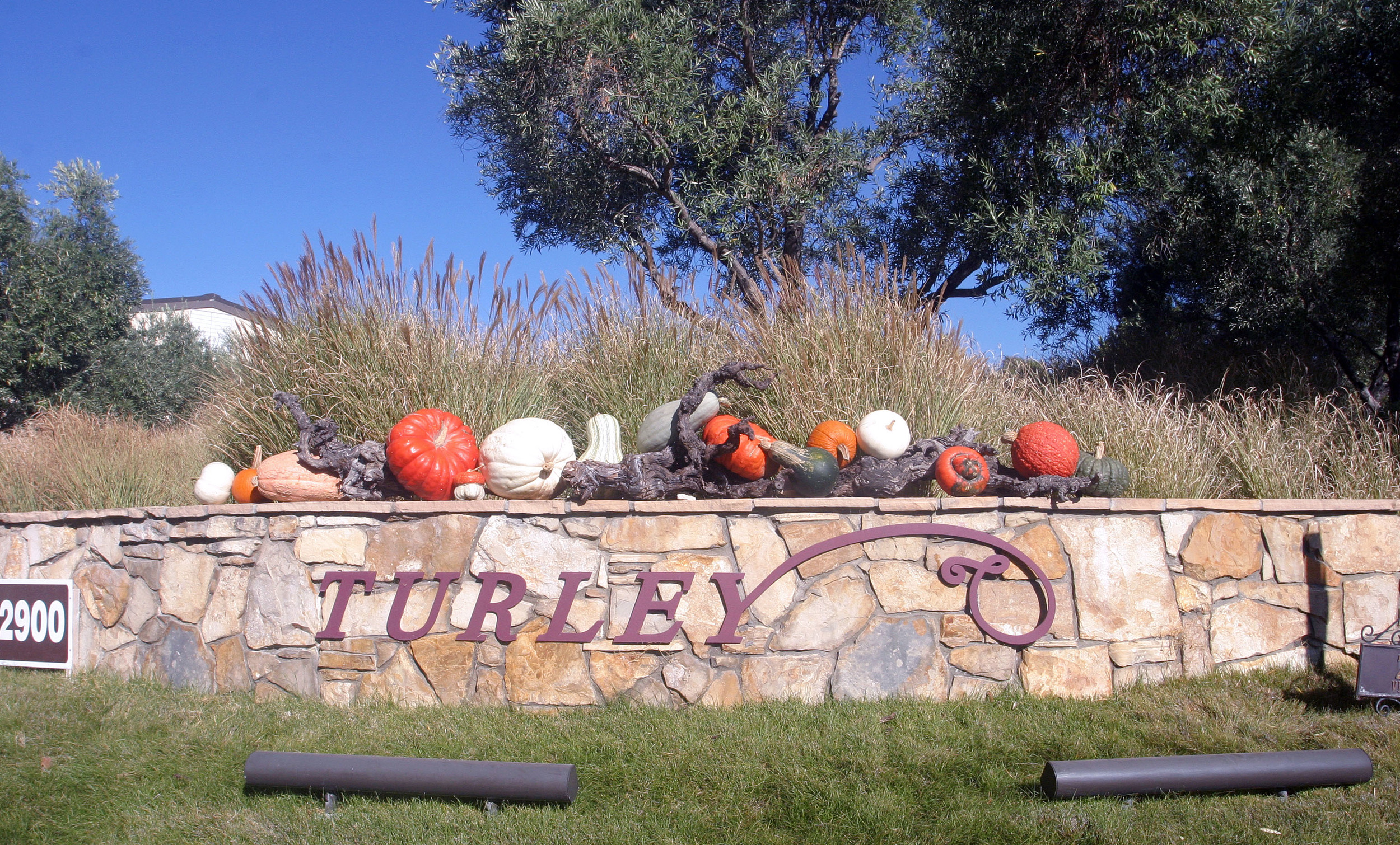 Turley Vineyard