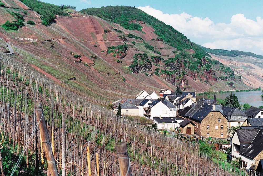Urziger Wurzgarten Vineyard
