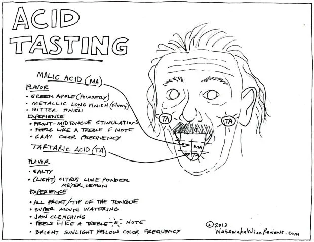 AcidTasting-620x478.jpg