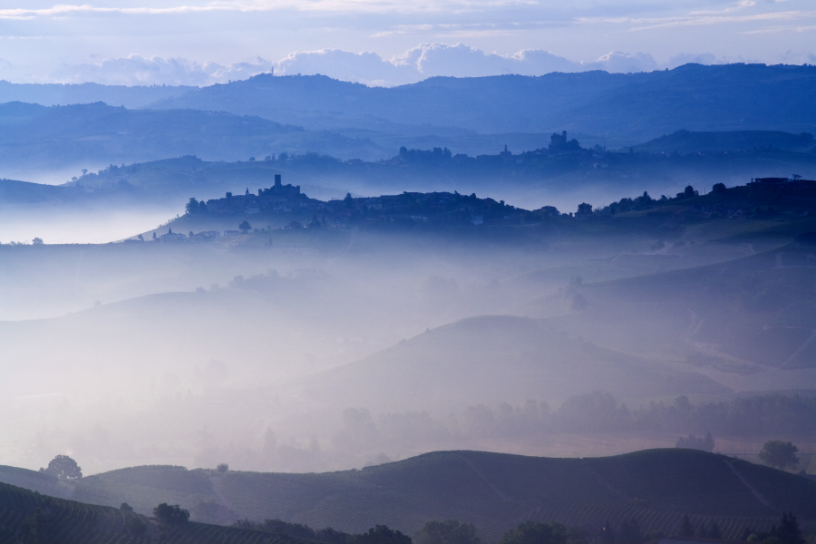 Morning-Mist-Barolo-Massolino.jpg