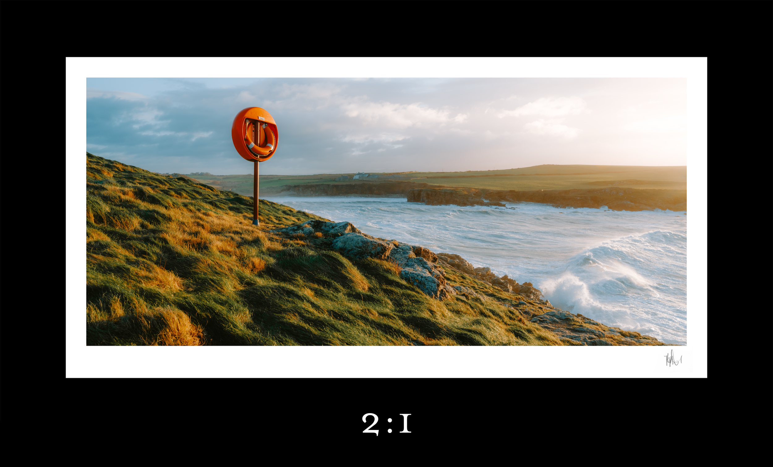 life-ring-2x1-border.png