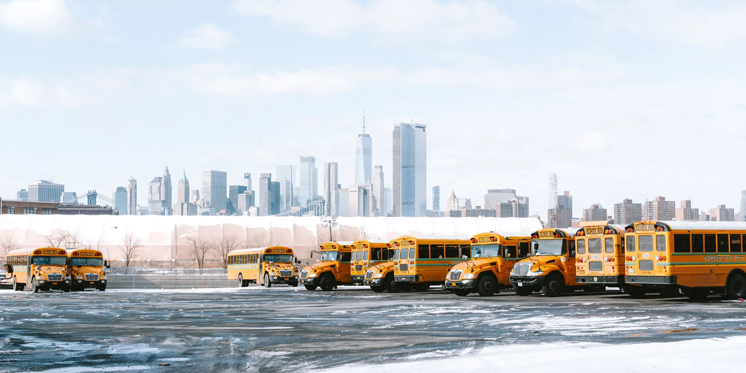 The Buses 2x1.jpg