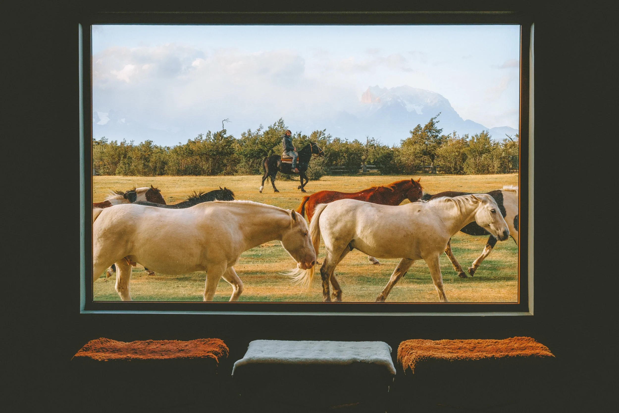 The Horses 3x2.jpg