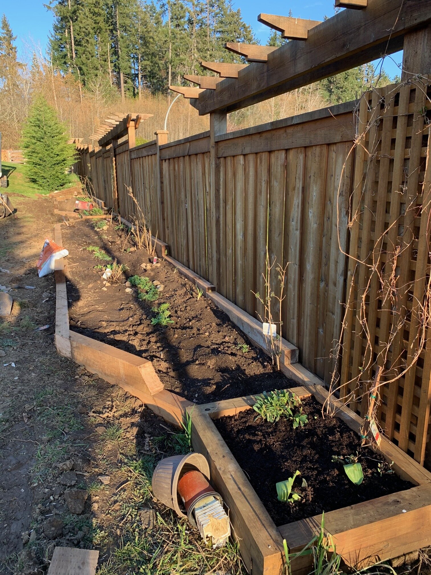 linear garden edging using 4x6 timbers