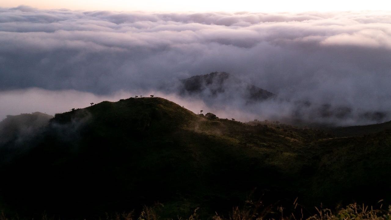 A walk in the Chyulu hills.
-
-
-
-
-
#kenya #hiking #magicalkenya #chyuluhills #safari #safarikenya #naturephotography #landscapephotography #africa