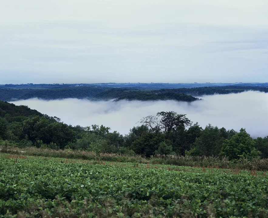   Fog in the Valley , 2013 