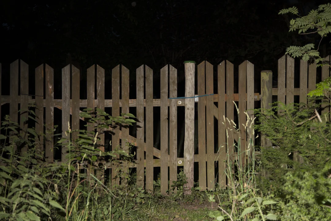   Fence , 2015 