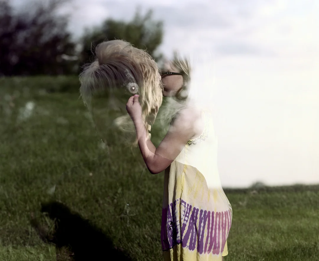   Dandelions , 2015 