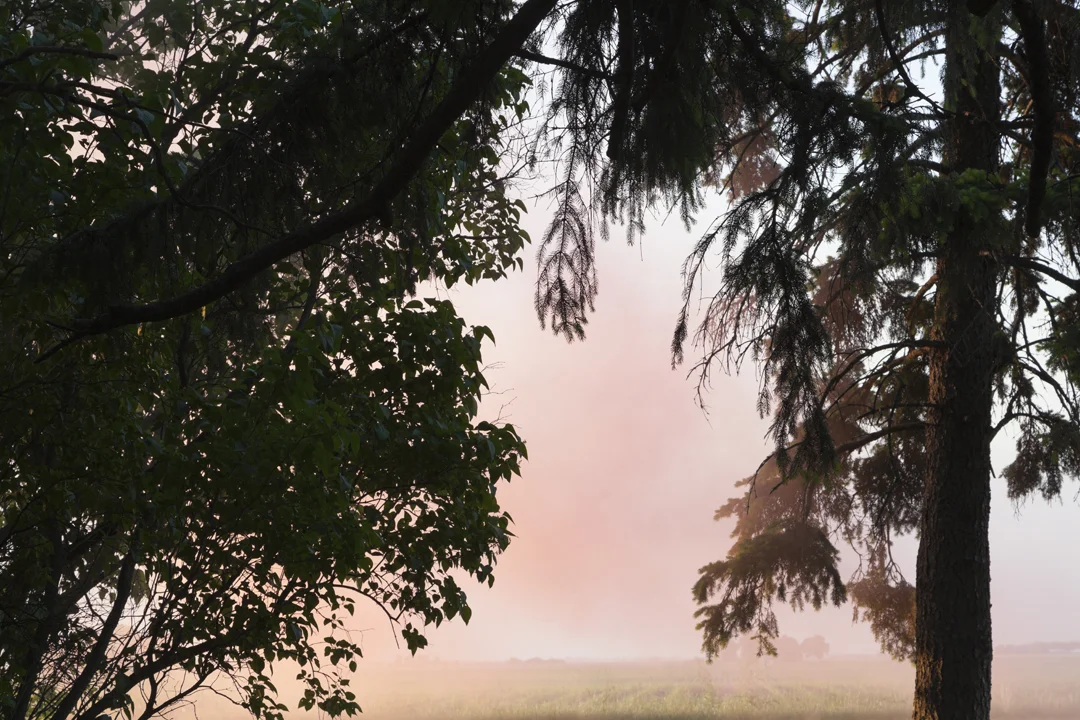   Red Smoke , 2015 
