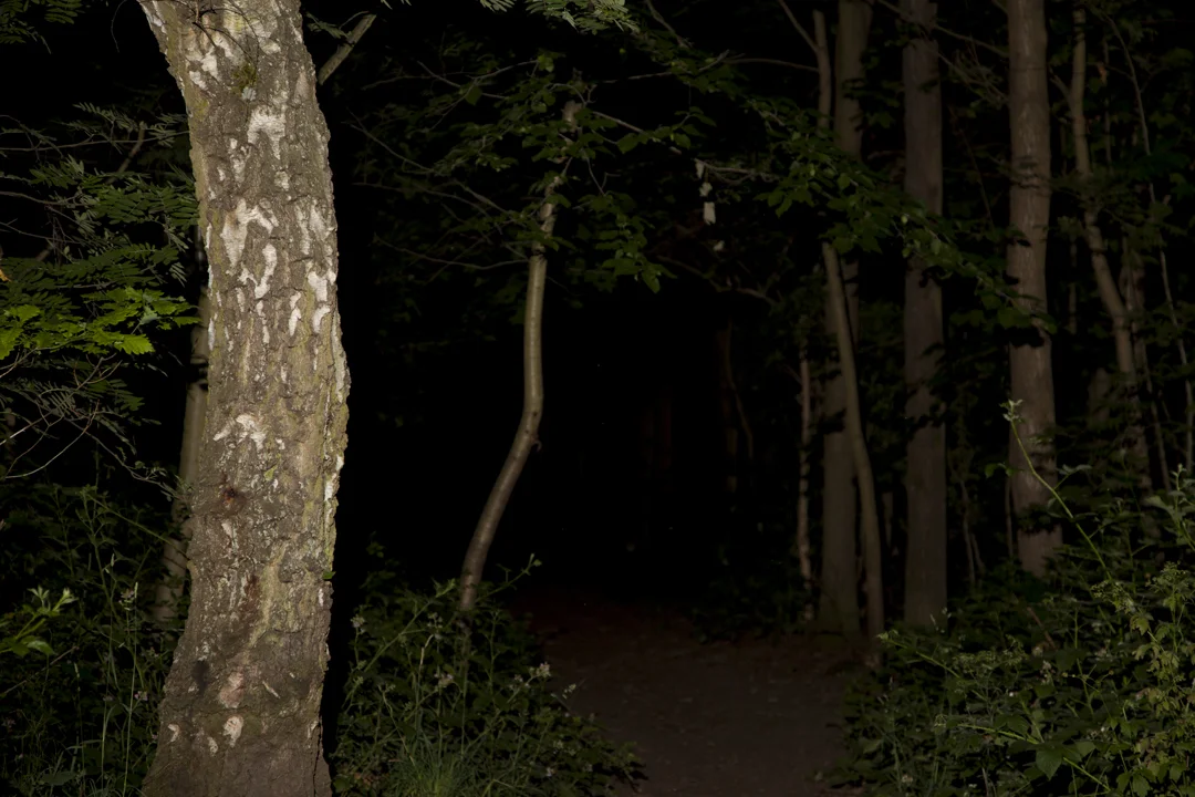   Black Passage , 2015 
