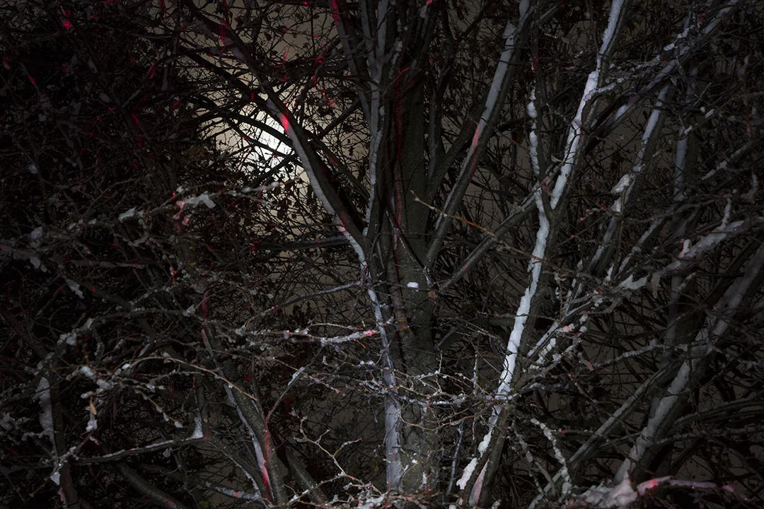   Tracing Spirits (Full Moon ), 2015 