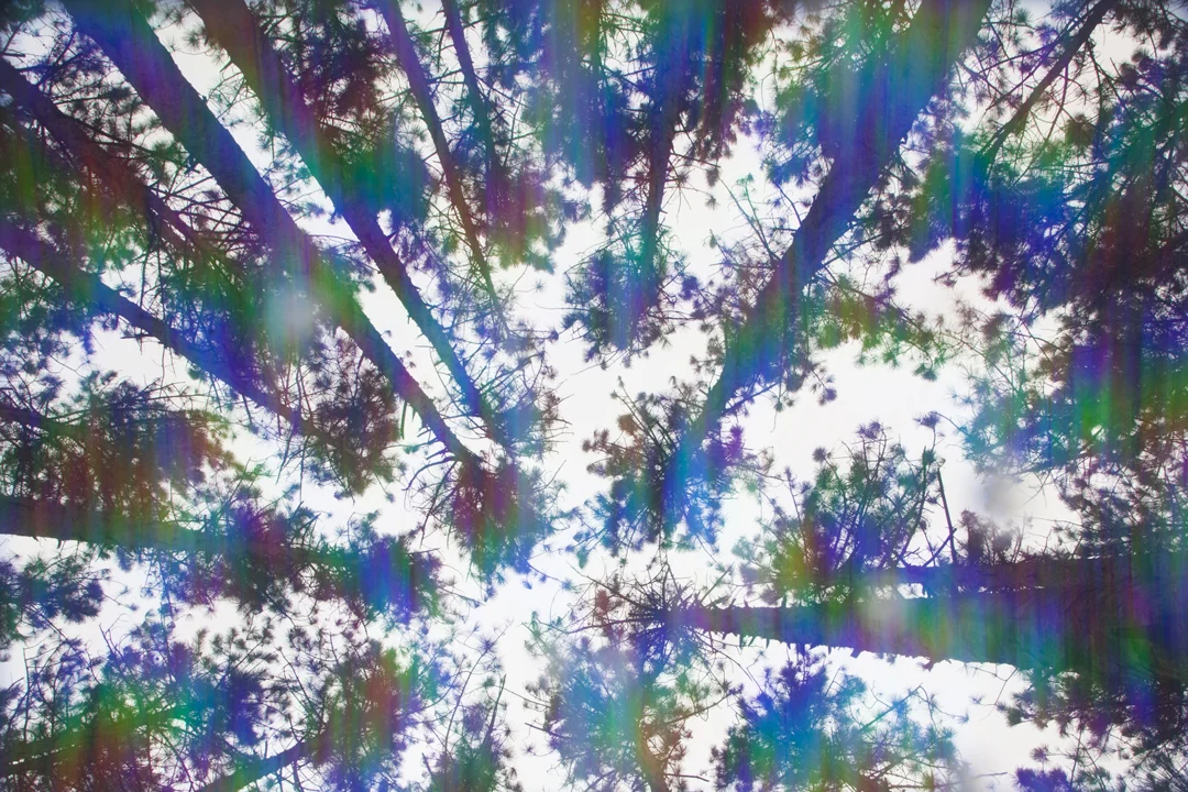   Capturing ‘Spiritual Photonic Interference,’  2017 