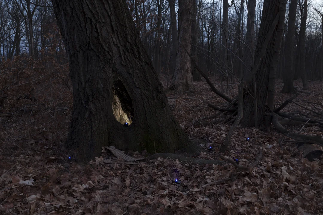   Measuring Electromagnetism (Woods) , 2017 