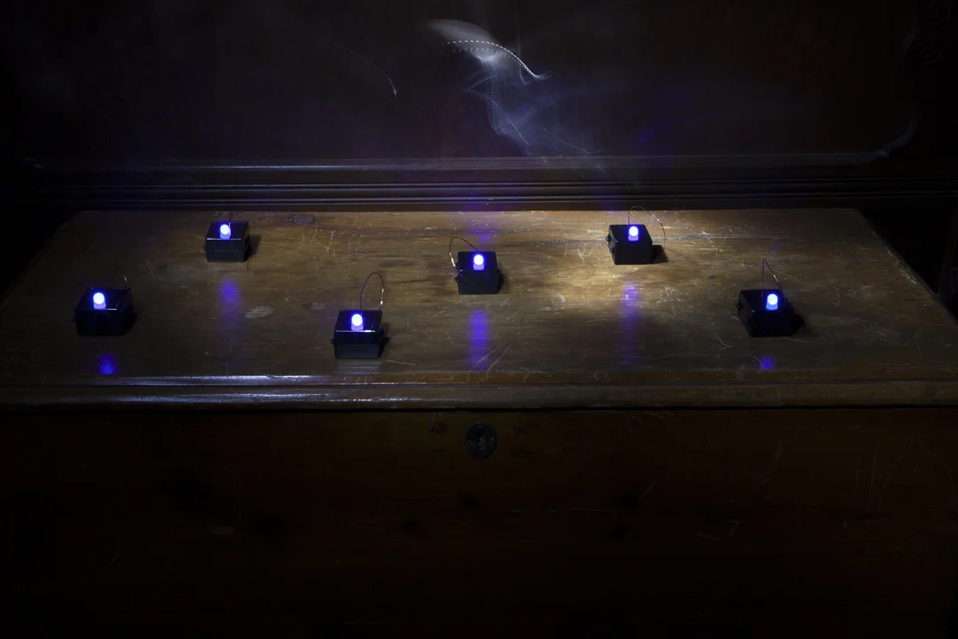   Measuring Electromagnetism (Oak Chest) , 2017 