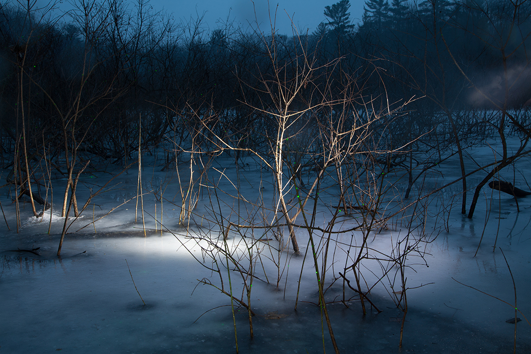   Frozen Pond , 2017 