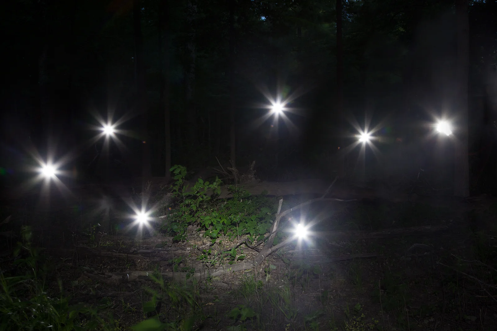   Orbs in Darkness , 2017 