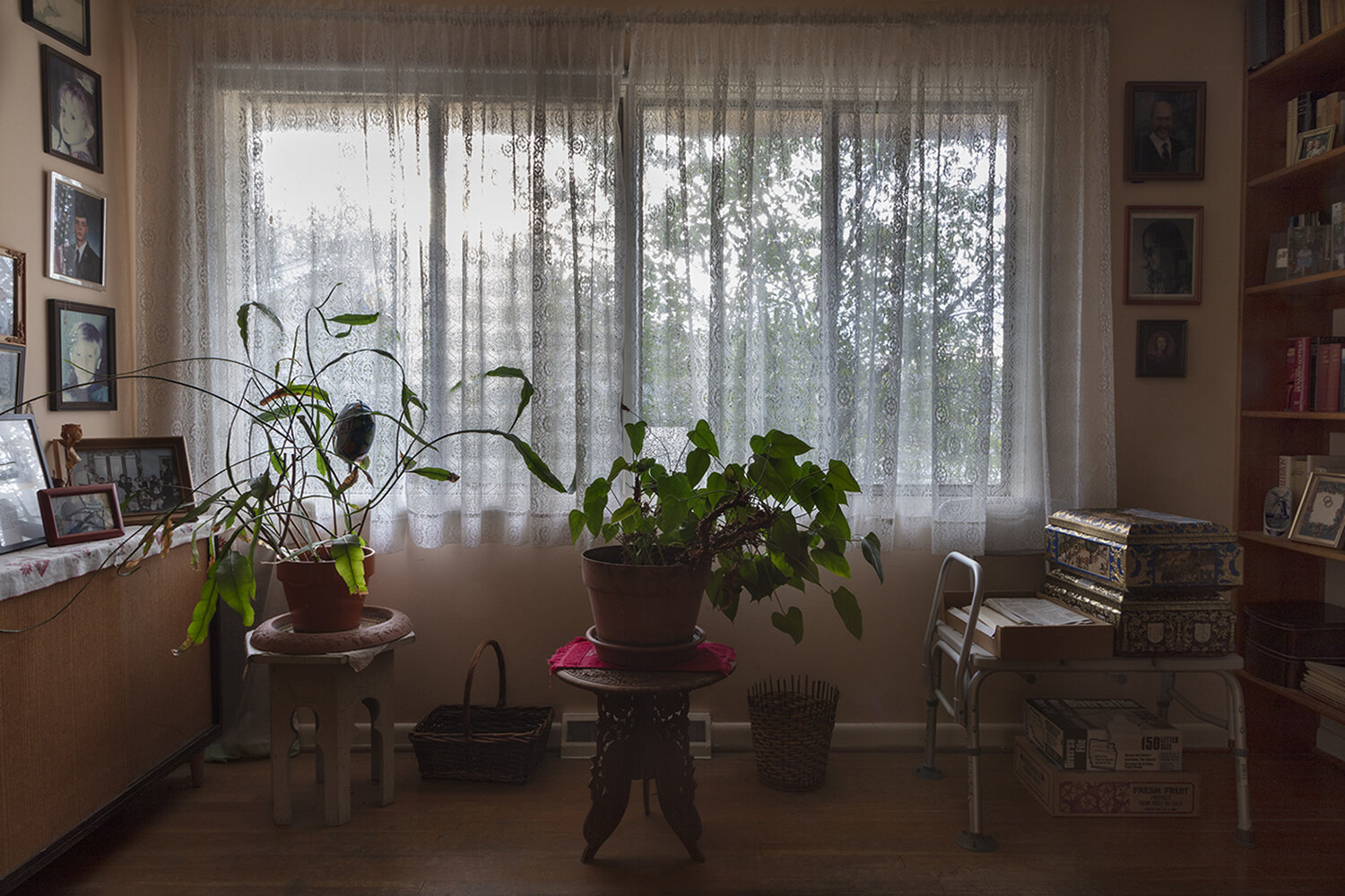   Plants, von Tiesenhausen Residence ,  Huntsville, AL,  2019 