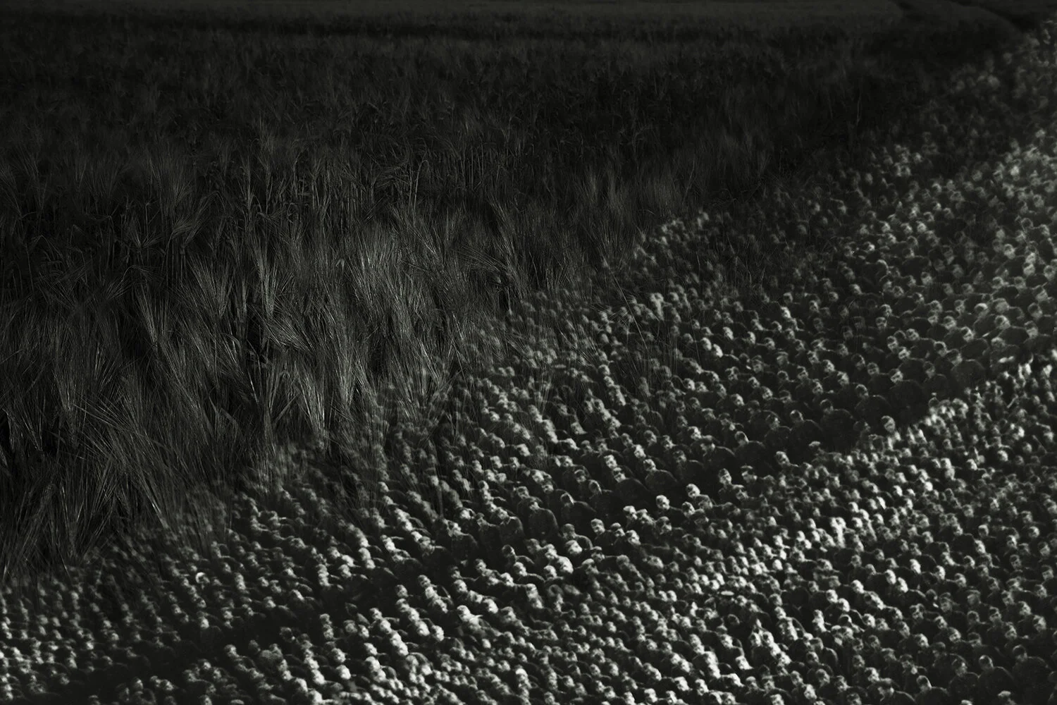   Soldiers in Wheatfield,  1939/2020 