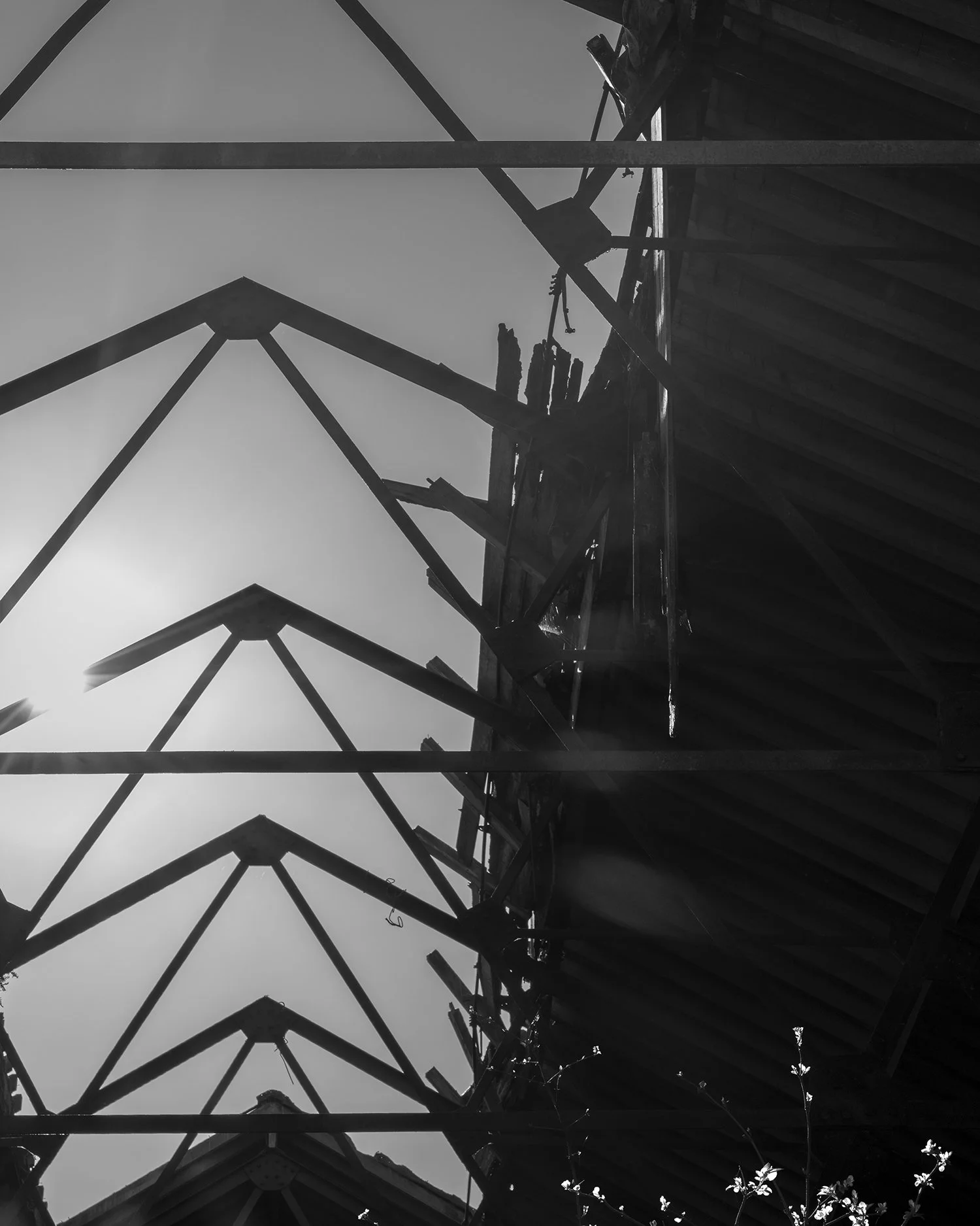   Fallen Roof, Drill Shed, Spike Island , 2025 