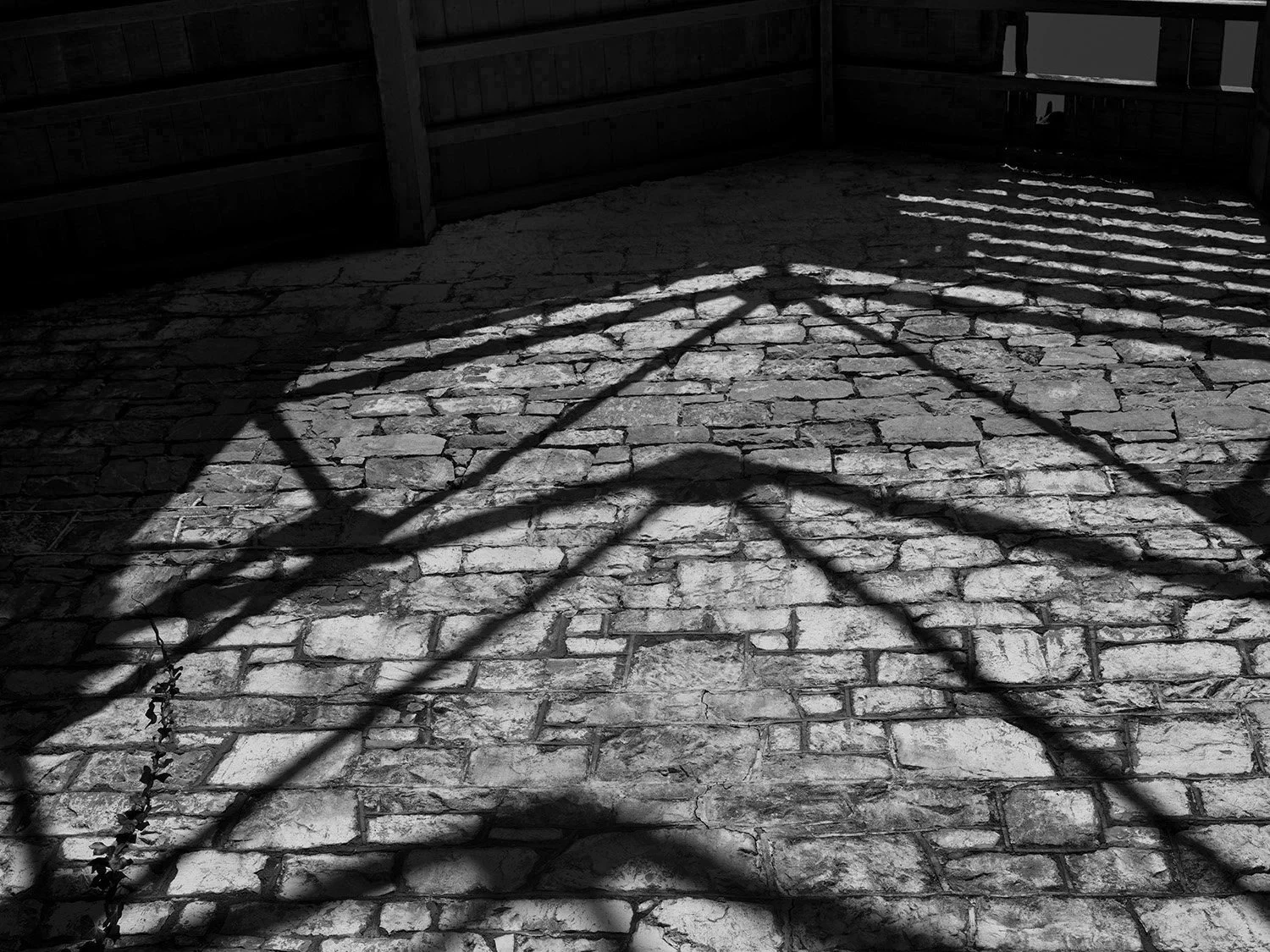  Light and Shadow, Drill Shed, Spike Island,  2025 