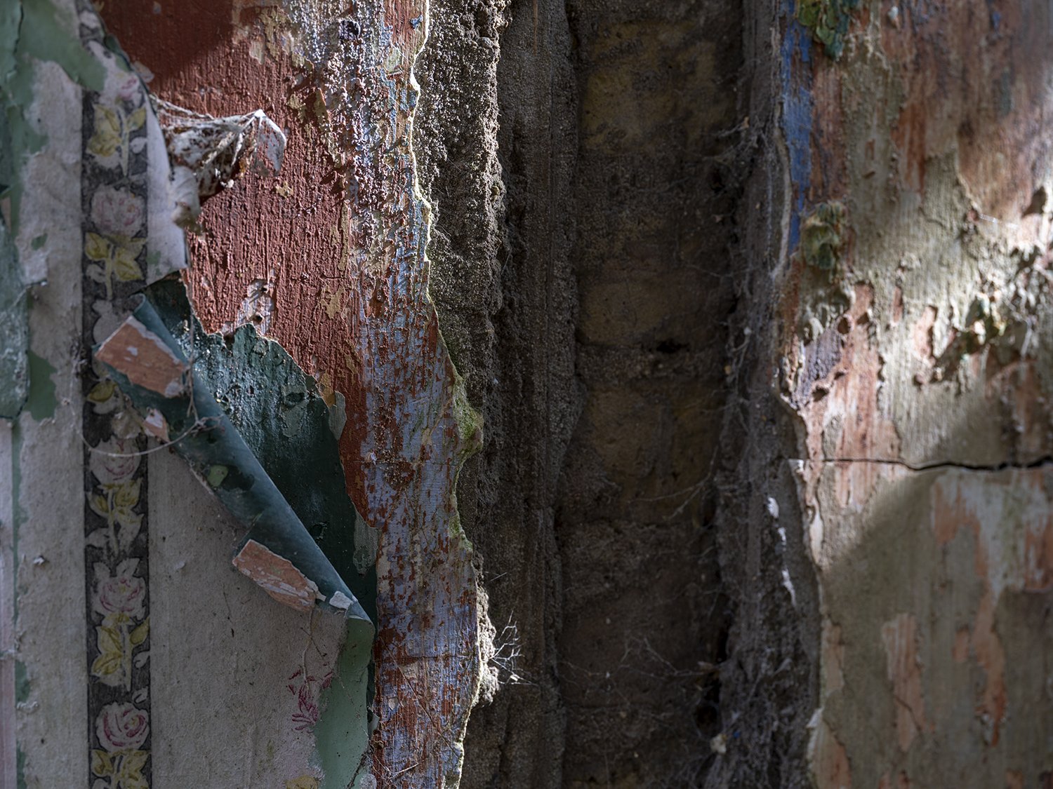   Wallpaper, Abandoned Village, Spike Island , 2025 
