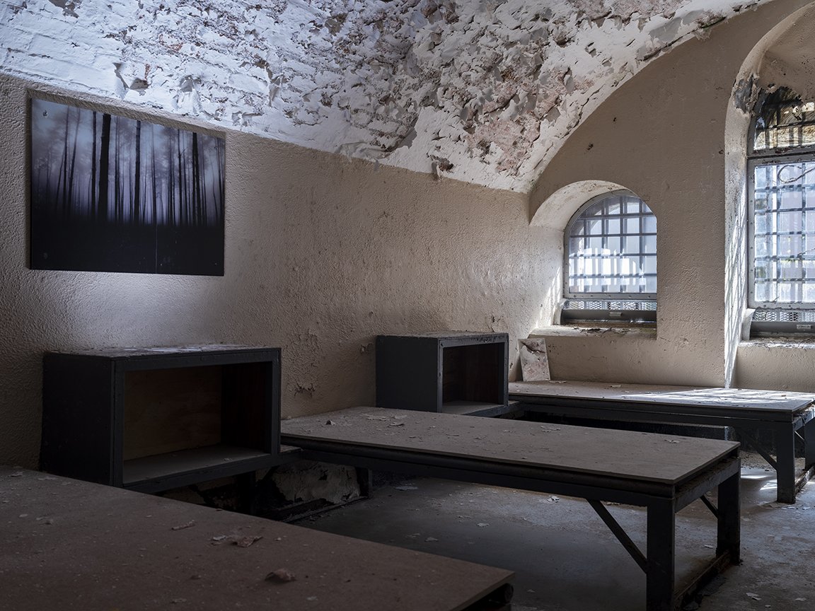   Abandoned Cell and Trees, Spike Island,  2025 