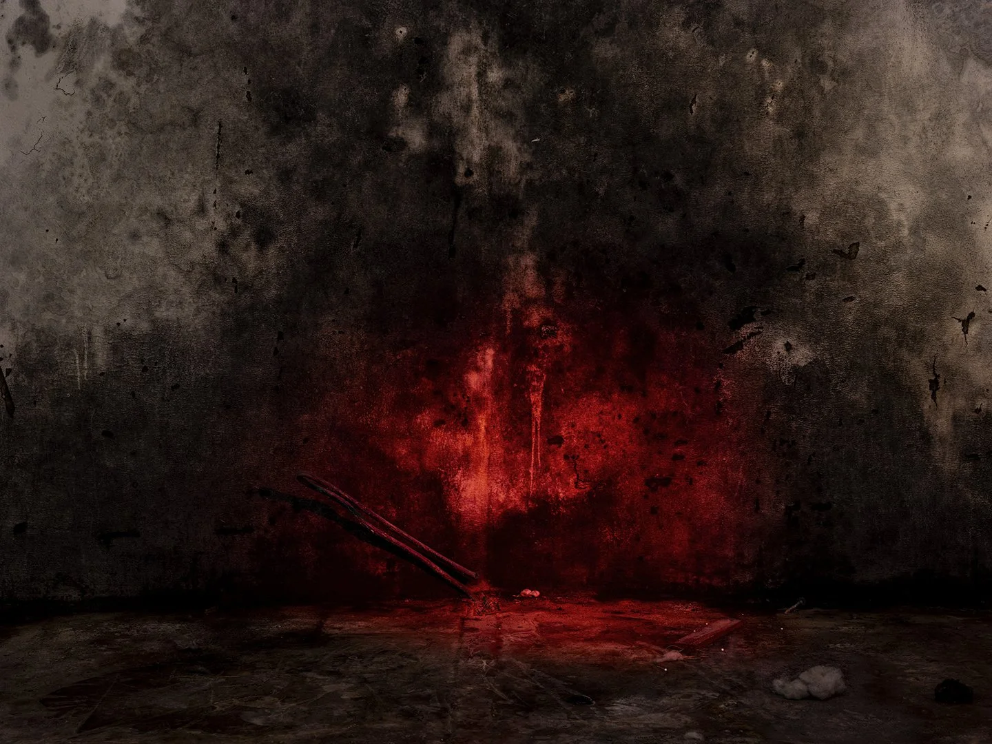   Black Mould, Spike Island , 2025 