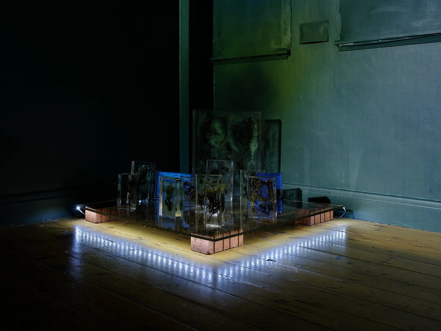   Trapped Seaweed  (installation detail), 2025 