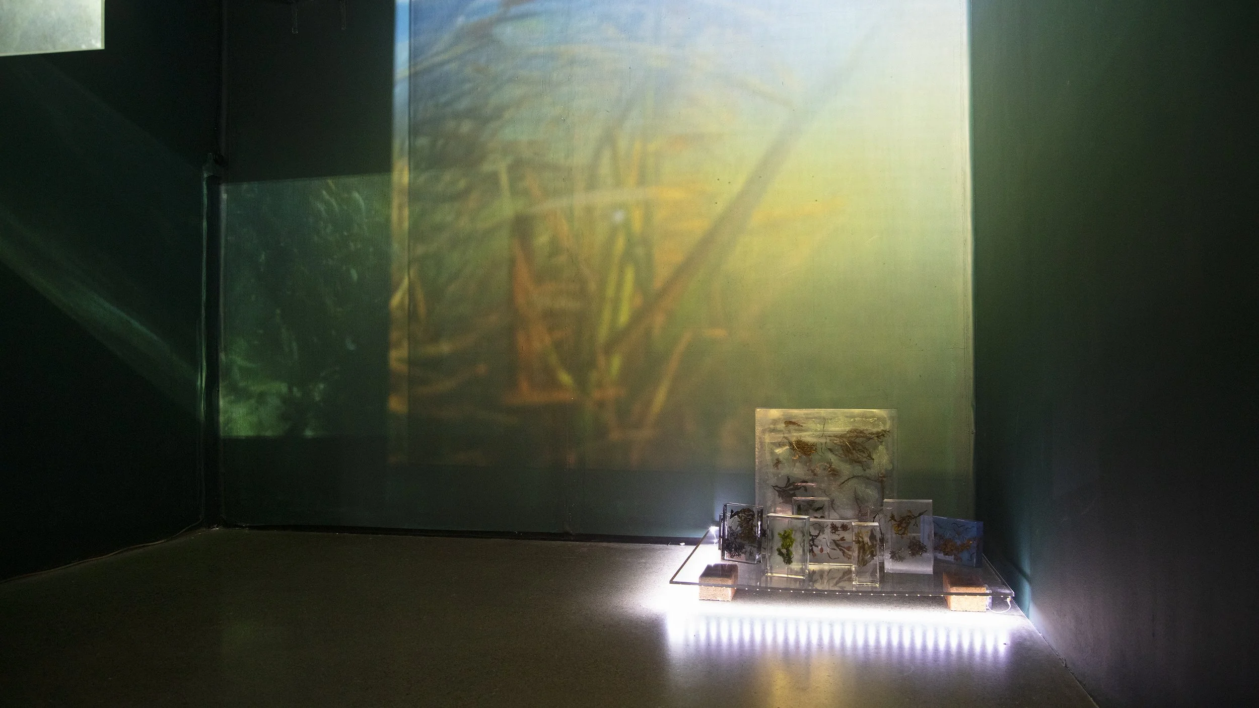   Beyond the Surface  (installation detail), Uillinn: West Cork Arts Centre, Ireland,  Persistence of Trace , 2026 