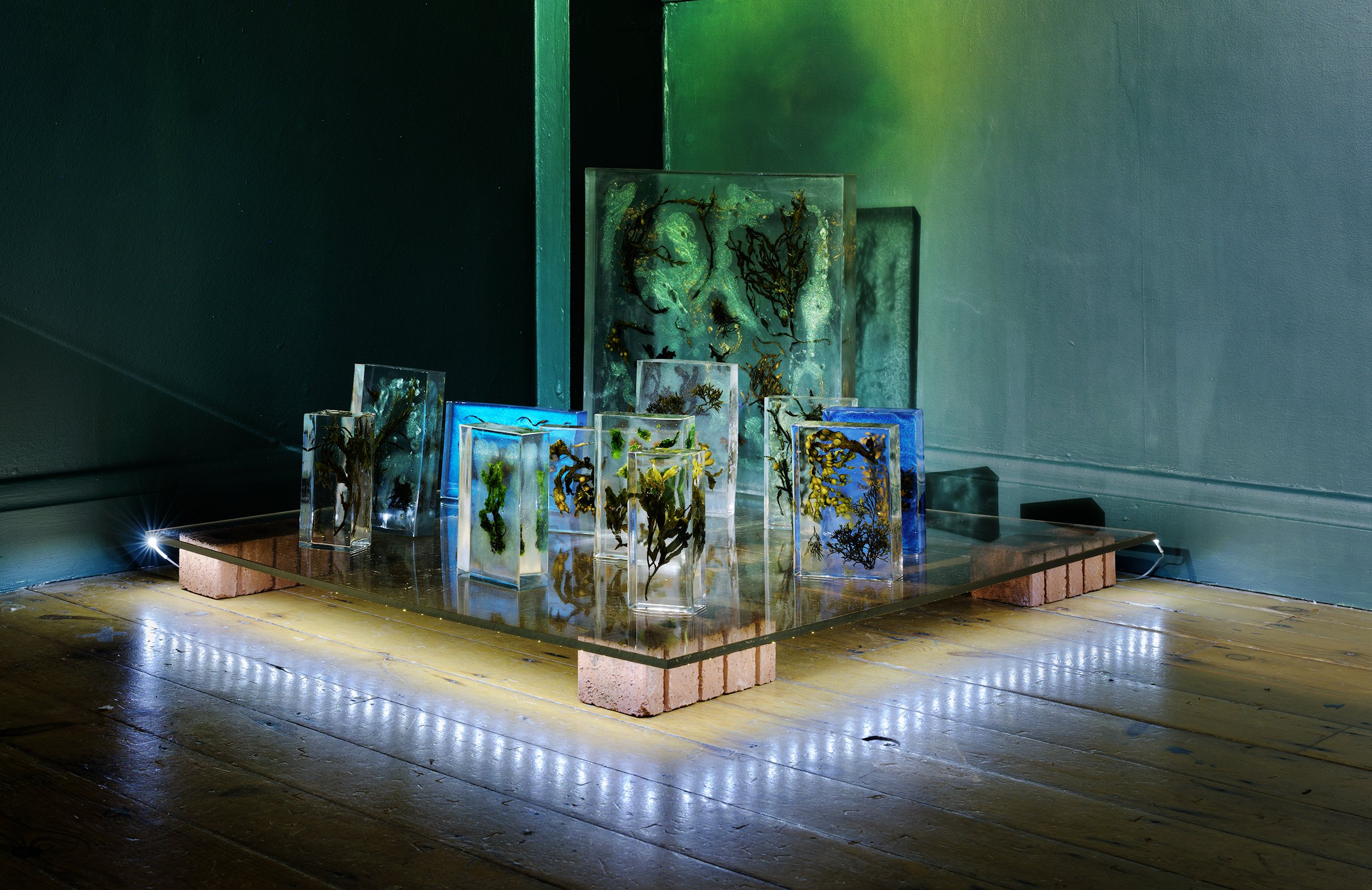   Trapped Seaweed  (installation detail), part of the exhibition   No One Thought of Sleep  , Lord Mayor's Pavilion, Cork City, October 2025  