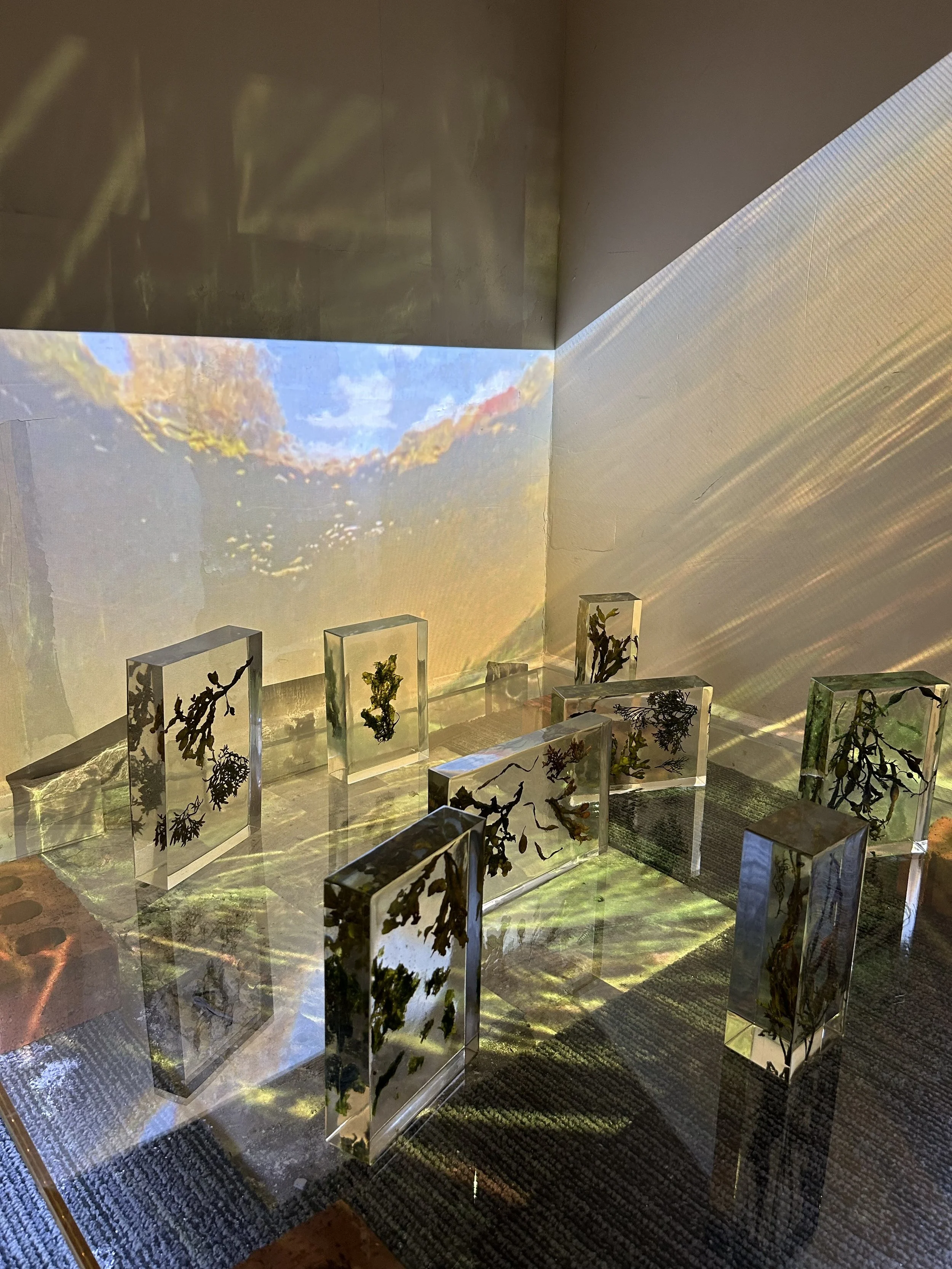   Beyond the Surface , 2026, K Visuals, Killorglin, Co. Kerry, Ireland  