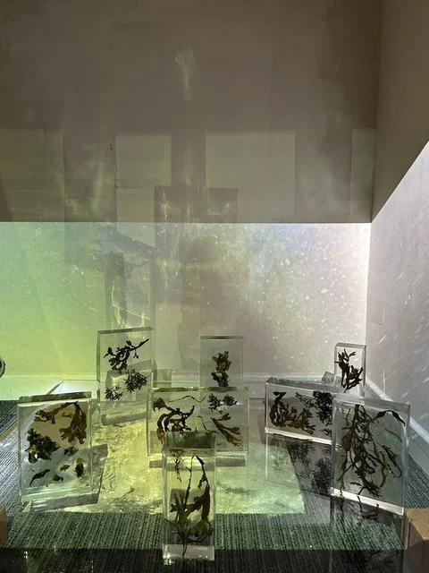   Beyond the Surface , 2026, K Visuals, Killorglin, Co. Kerry, Ireland  