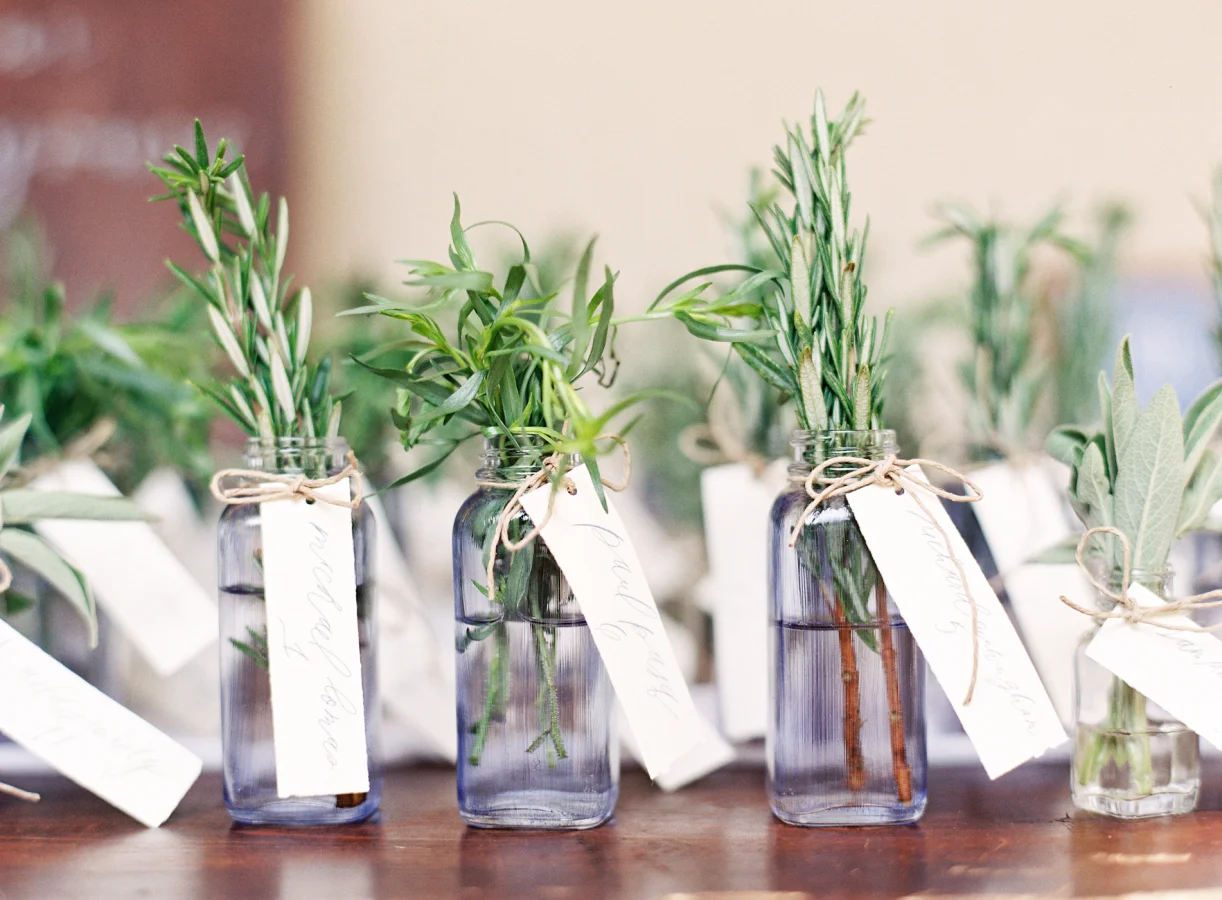Mini Vase of Fresh Herbs