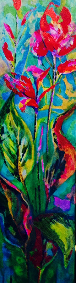 Canna Lillie's
