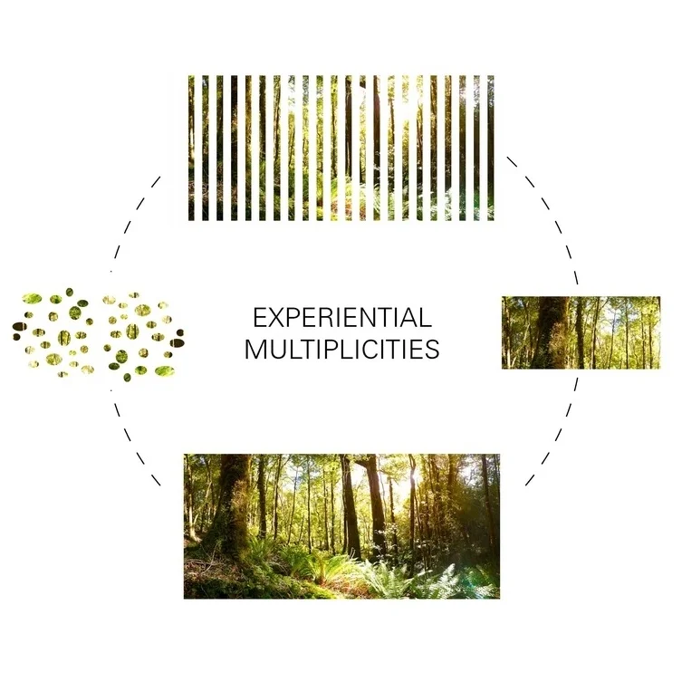 Dieter_2.2_Individual Graphic Conclusions_Page_1.jpg