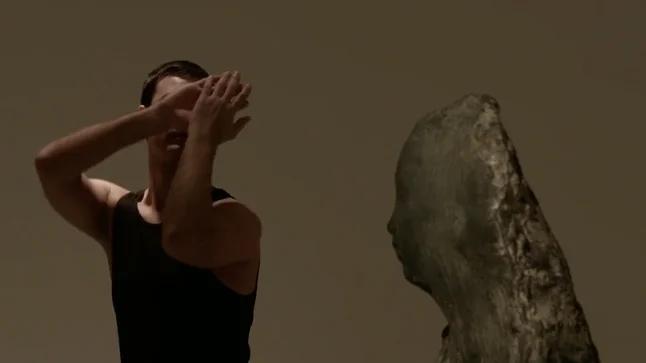 pulitzer-arts-foundation.jpg