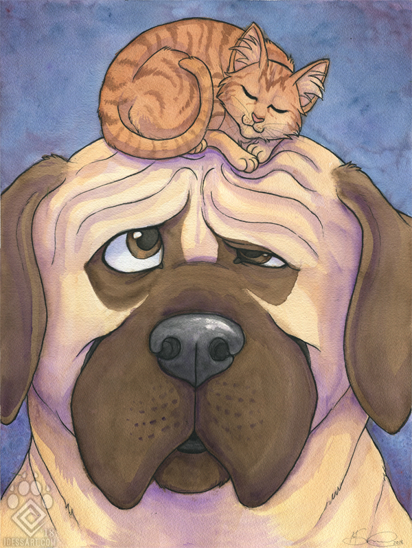 NappingSpot.jpg