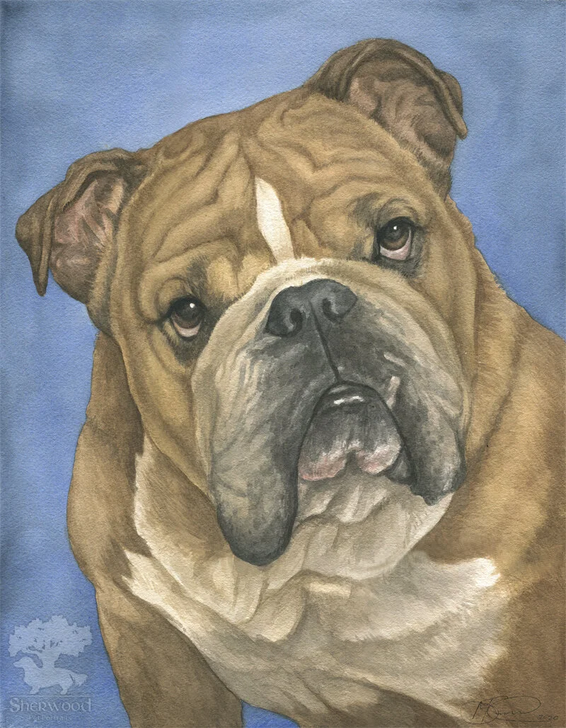 Dozer.jpg