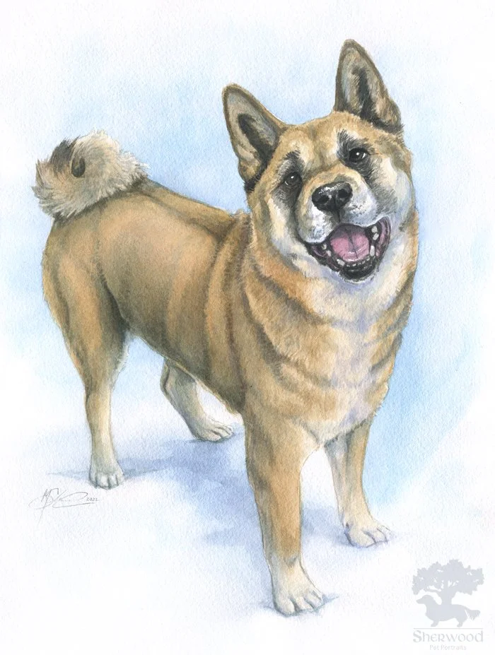 Realism Watercolor Full Body Portrait — Sherwood Pet Portraits