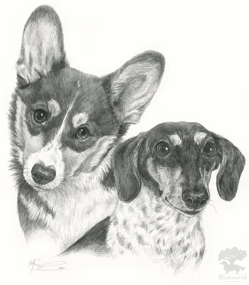 DaisyBlu&CherryPie.jpg