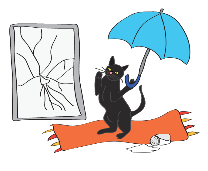Uh oh! My black cat just spilled the salt while dancing with an umbrella indoors in front of a broken mirror! Happy Friday the 13th!