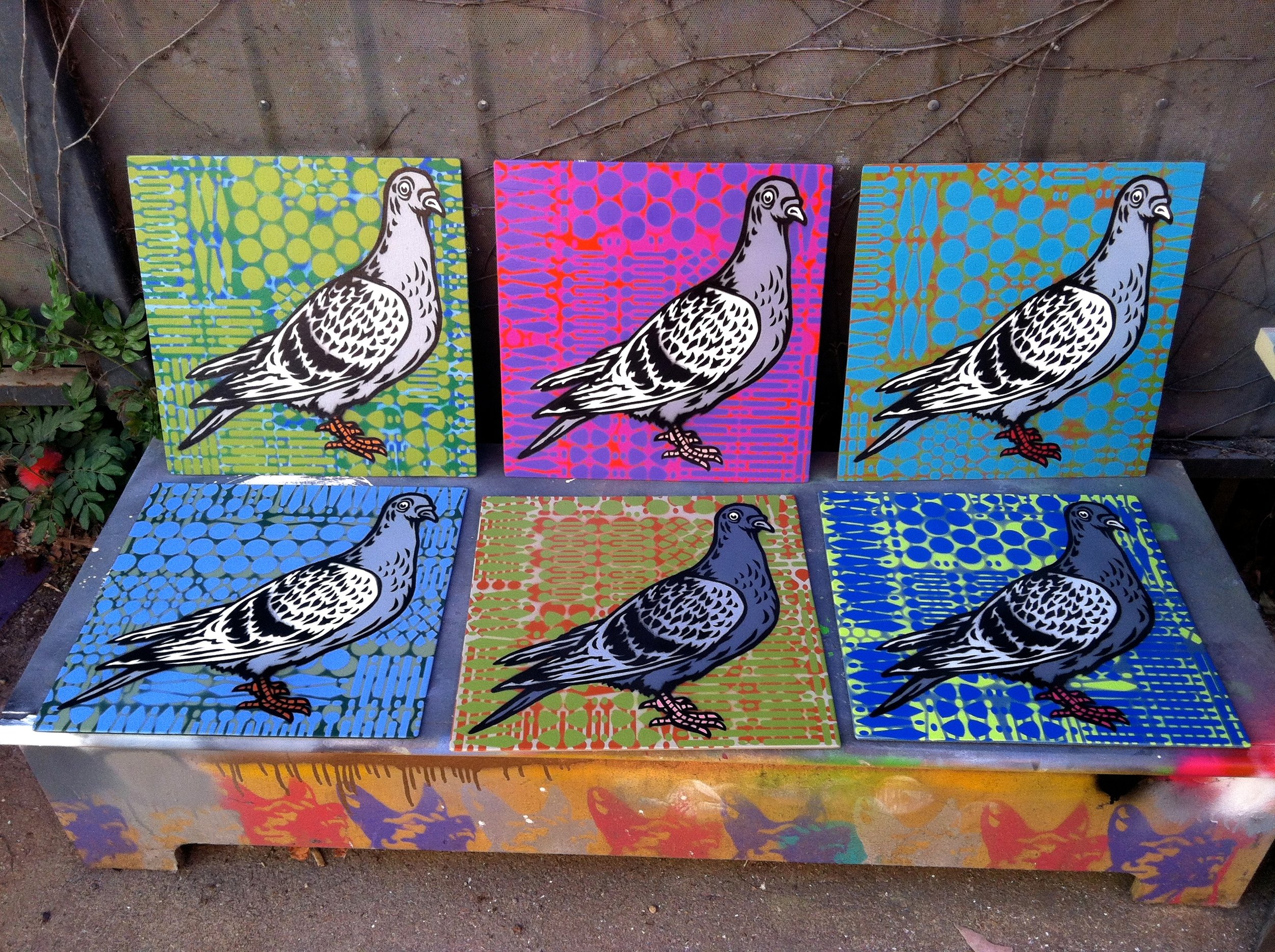 "Pigeon" Spray paint/stencil on wood panel, 20"x20" Edition of 6