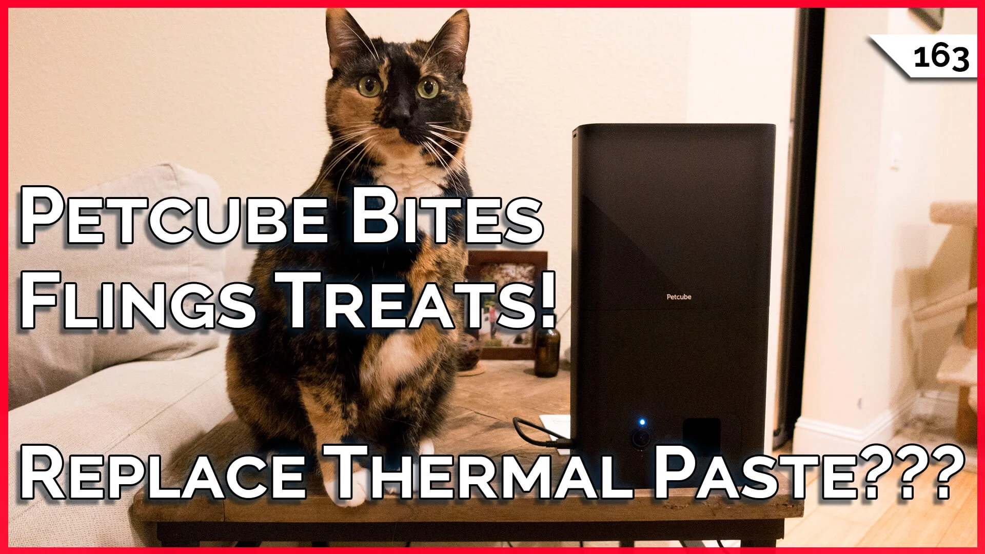 Petcube Bites Review! Should I Change My Thermal Paste??? Apartment WiFi Security! -- TekThing 163