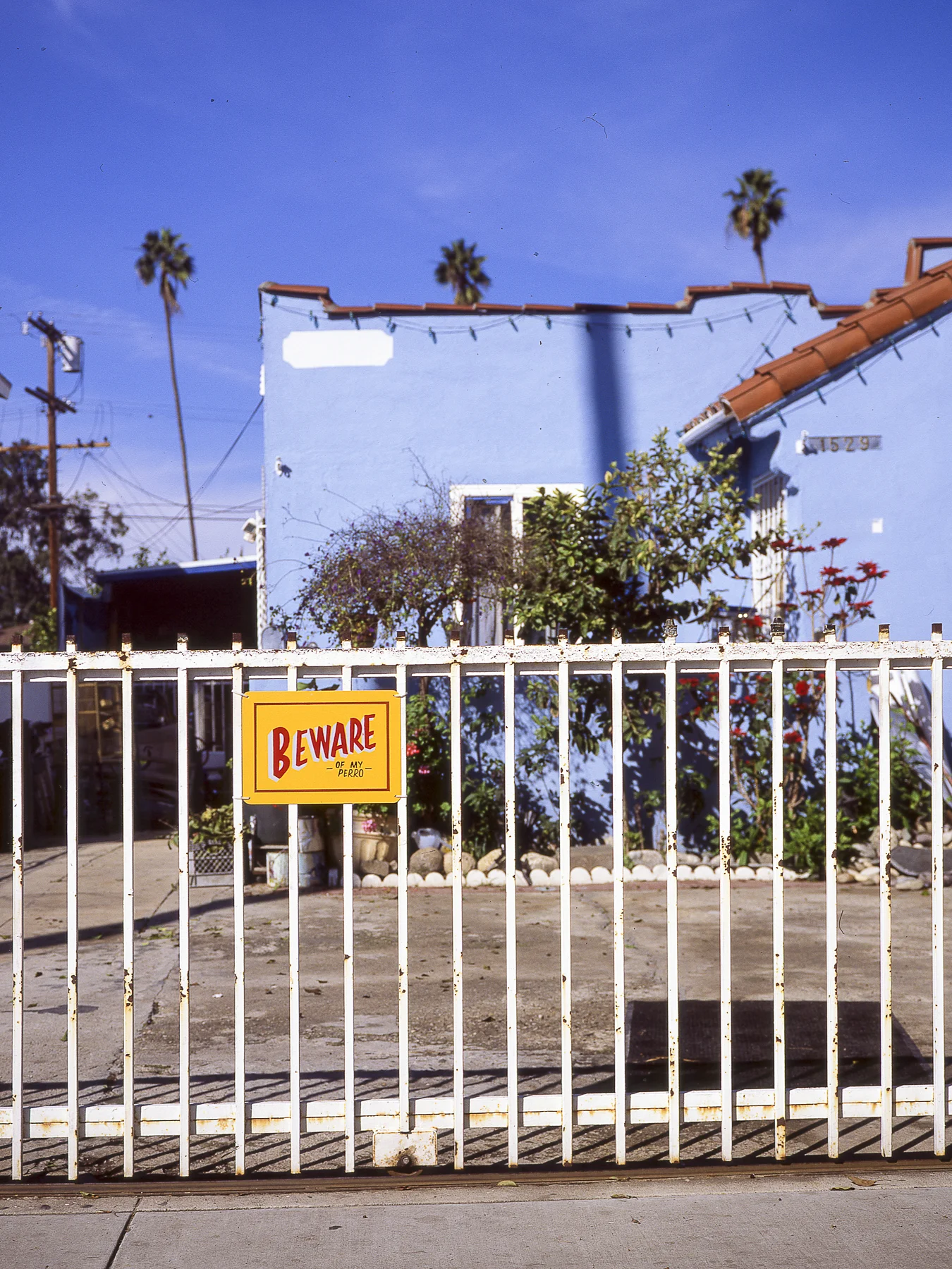20170215.LOSANGELES.ZH-20.jpg