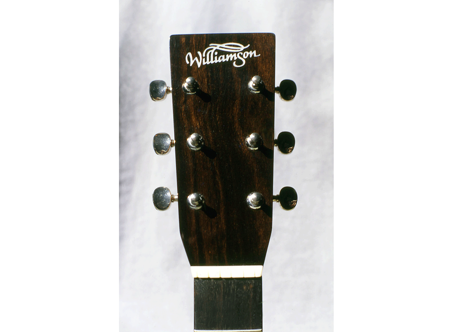 Williamson Guitars Logo on Headstock